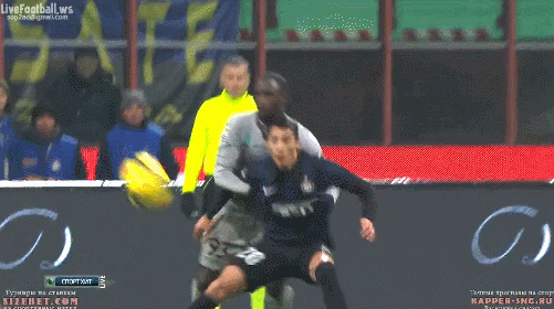 インテル2014第19節PK疑惑.gif