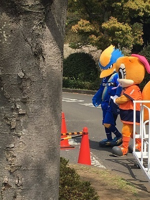 ゼフィーとミーヤ01.jpg
