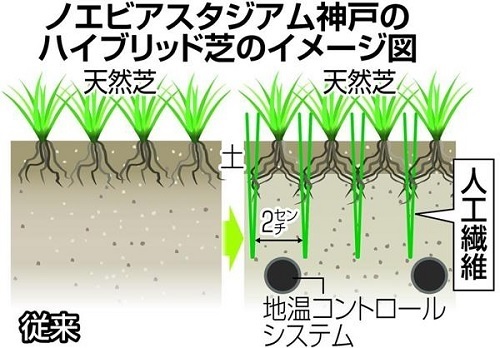 ノエスタハイブリッド司馬.jpg