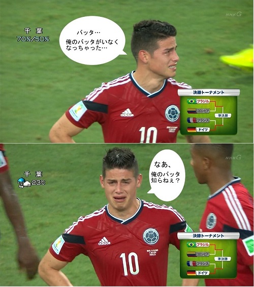 ハメスとバッタ11.jpg