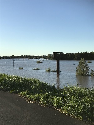レッズランド水没02.jpg