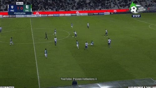 本田カップ戦01.gif