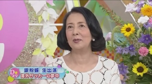 銀粉蝶海外サッカーに夢中jpg.jpg
